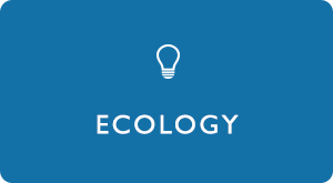 ECOLOGY